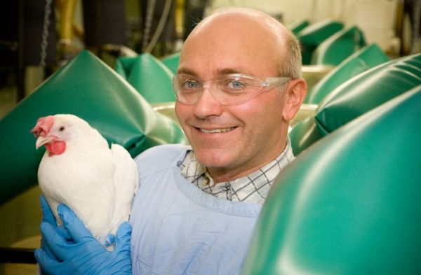 资料图片：马克·蒂泽德。