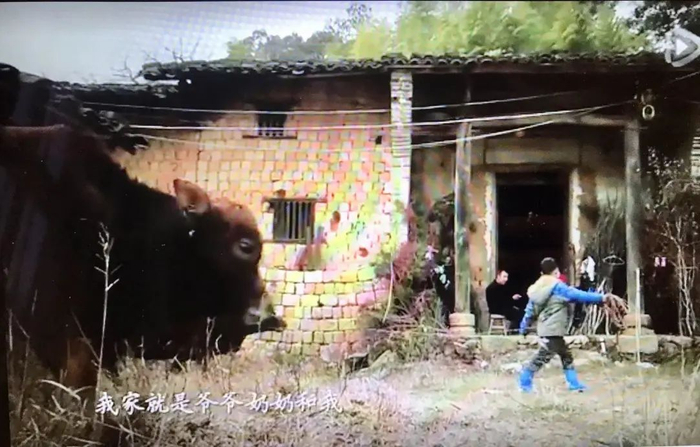 纪录短片《大山里的贫困儿童》中，吴伟平在自家土坯房前 图据视频截图