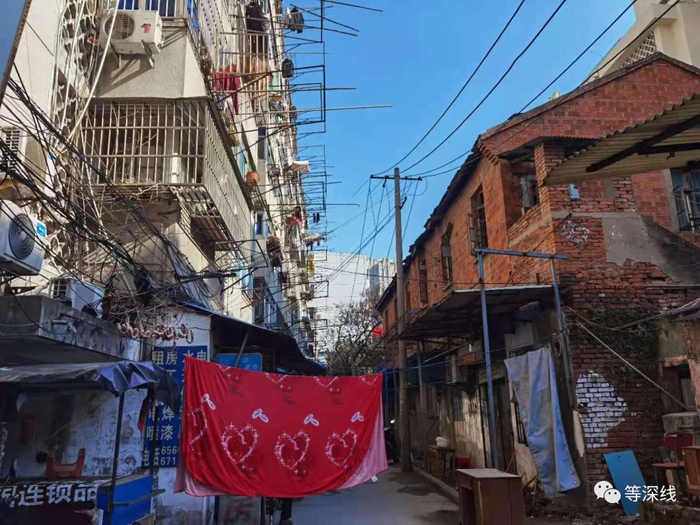 在合肥时，法子英与劳荣枝租住在一条狭窄的小巷中  《等深线》记者 苑苏文摄