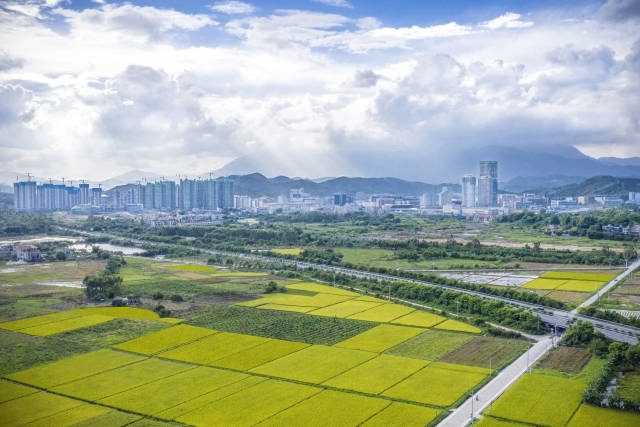 深汕合作区全力打造“田园城市”“都市乡村”。（资料图片）