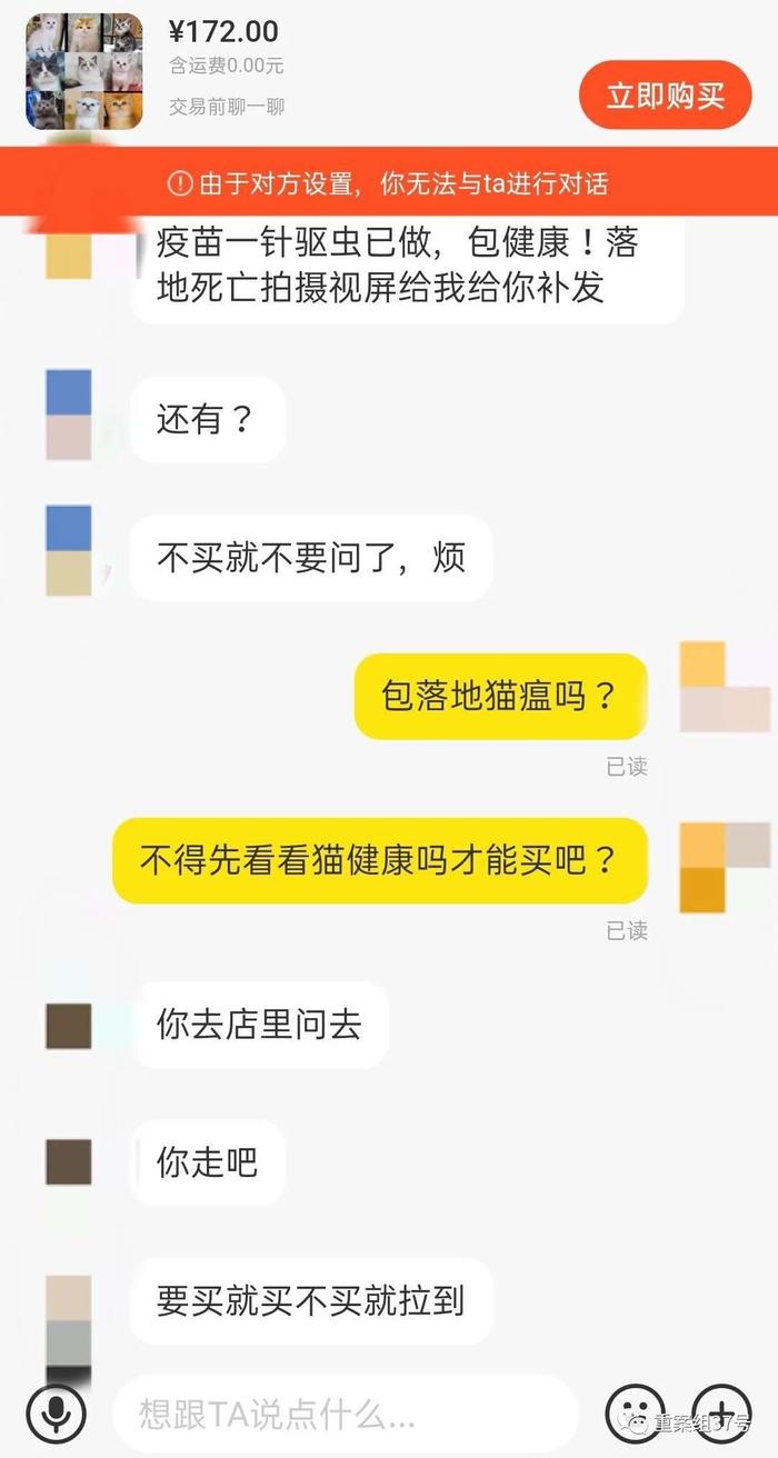 ▲一售卖活体小猫盲盒的卖家在记者询问健康情况后,将记者拉黑。网页截图