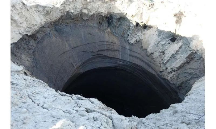 图片来源：Skolkovo Institute of Science and Technology