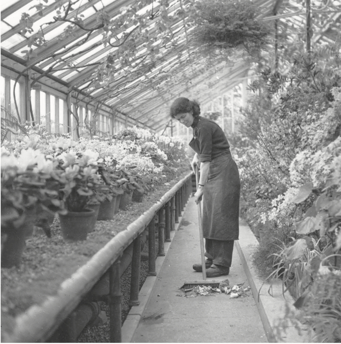 战争使得邱园给予女性的机会更多了，但他们晋级升职的道路仍充满困难。