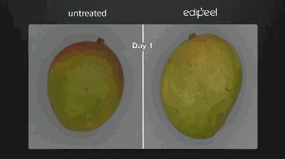 添加了edipeel的芒果和没有可食性复合膜的芒果对比动图。图片来源：Apeel Science