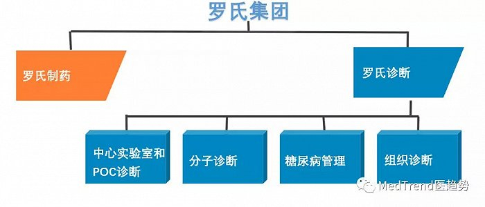 ▲罗氏集团业务架构