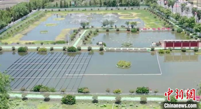 禹越镇木桥头西坝里尾水治理点禹越镇提供