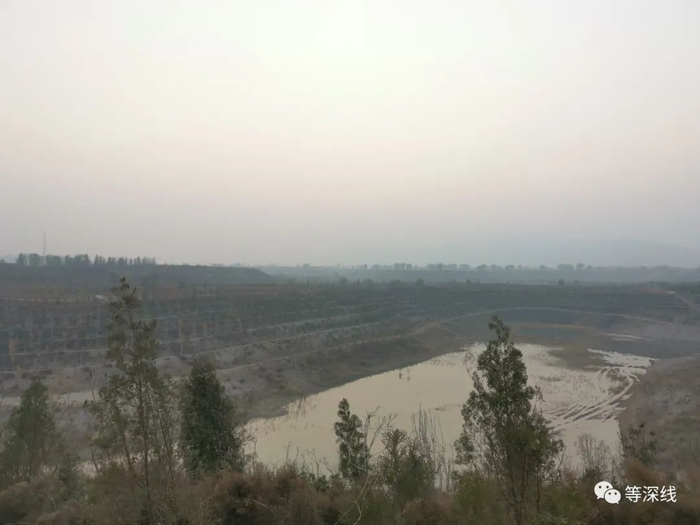 开栅镇一处沙坑，在治理后，已被栽种上树木。&nbsp;《等深线》记者 李城 摄