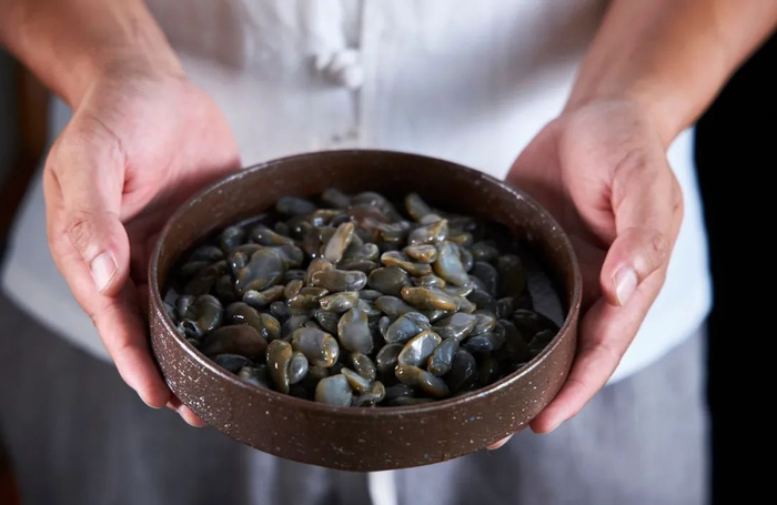 醉泥螺。摄影/金运，图/图虫·创意