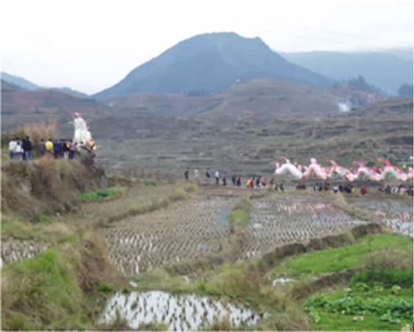 龙头和龙尾（劳格文 摄）
