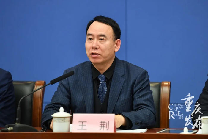 王荆回答记者提问 邹乐 摄