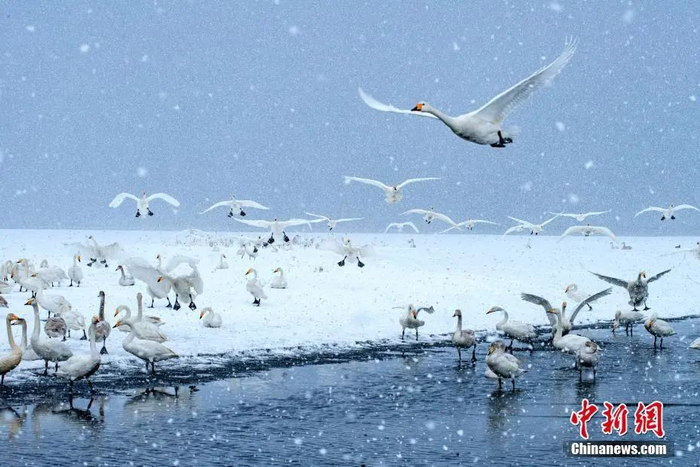 中新社发 滨海之光 摄 图片来源：CNSPHOTO