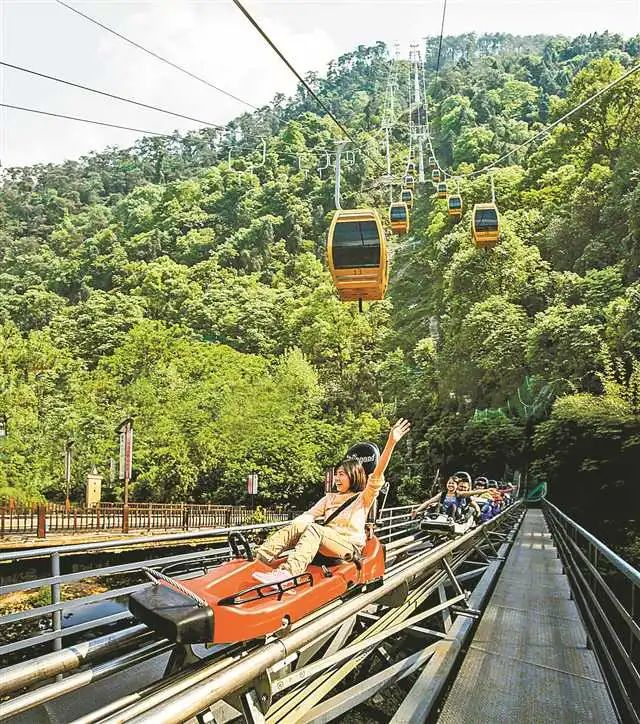  南温泉滑道 巴南区文旅委供图