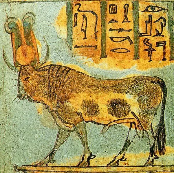 古埃及的阿匹斯神牛，头顶双角间顶着带给万物生命的太阳。