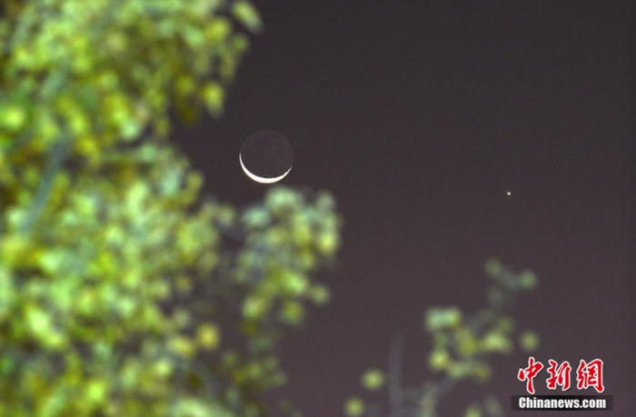 资料图：2020年11月13日凌晨6时许，新疆库尔勒市东南方低空出现“金星合月”的浪漫天象。 确·胡热 摄