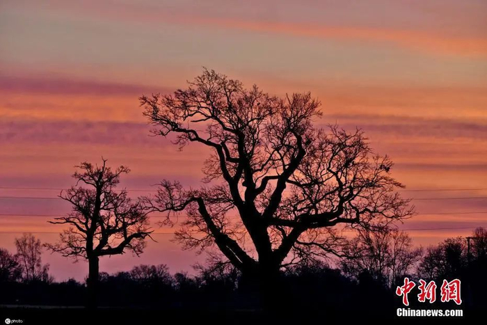  图片来源：ICphoto