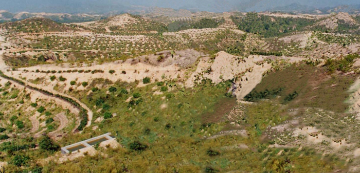 治理前，水土流失严重的长汀县策武镇南坑村。图源：新华网福建频道