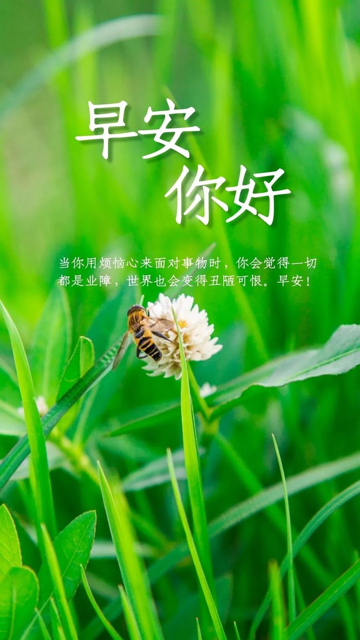 早安心语正能量励志句子，早安努力奋斗新的一天！
