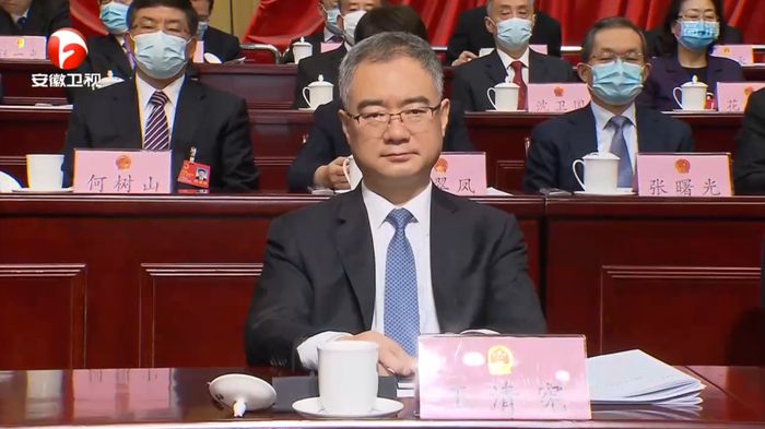 王清宪 截图来源：安徽新闻联播