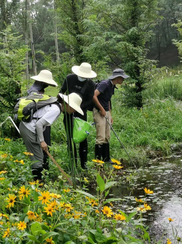水生植物调查组调查工作。受访者供图