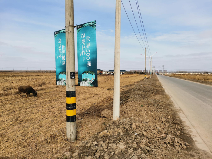 远处高楼为绿地长岛