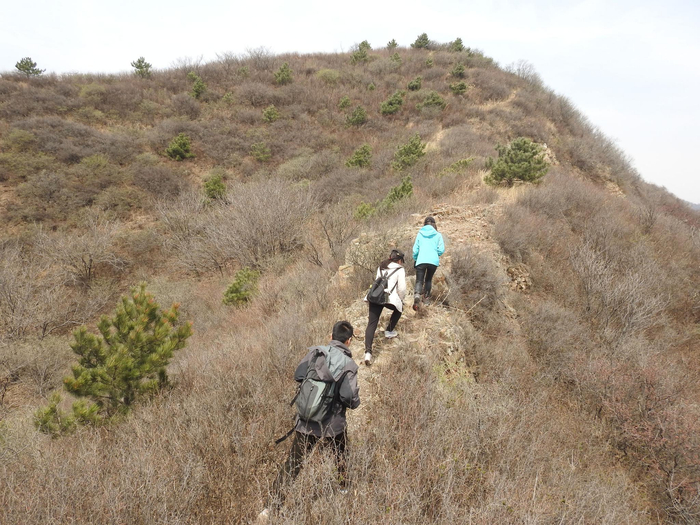 李春旺和同事在野外工作。受访者供图