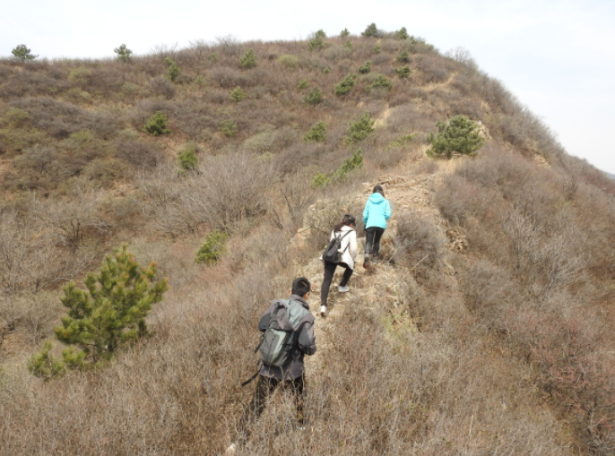▲李春旺和同事在野外工作。受访者供图