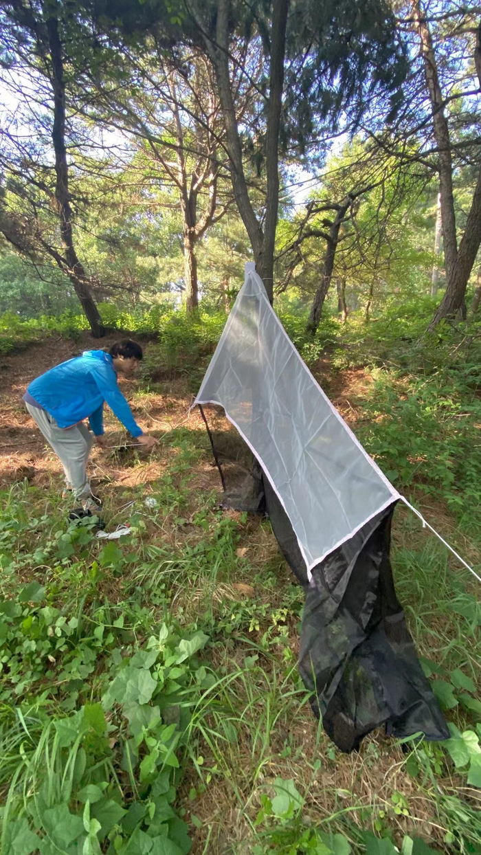昆虫调查组布设马来氏网。受访者供图