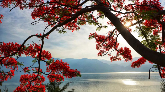 丽江程海 杨波 摄