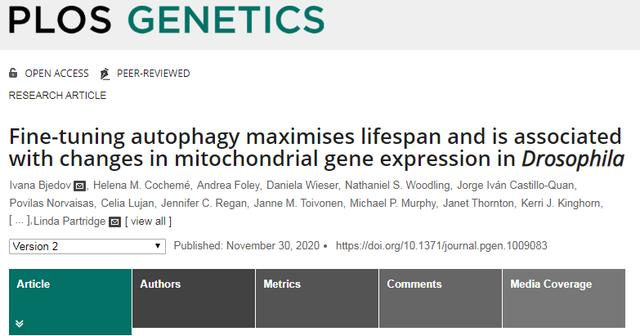 生物刺激输出线怎么连生酮饮食、自噬过度导致减寿?又一无良媒体谣言_新闻资讯_第5张_活检穿刺产品网 生物刺激输出线怎么连生酮饮食、自噬过度导致减寿?又一无良媒体谣言_https://www.jmylbn.com_新闻资讯_第5张