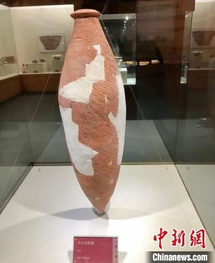 仰韶遗址出土小口尖底瓶。中新社记者 孙自法 摄