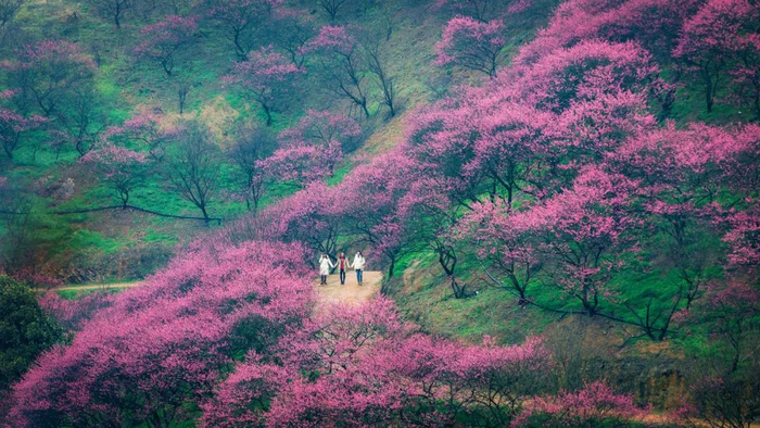 视觉旅图@潘伟峰/摄