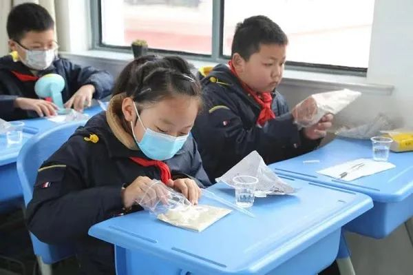 孩子们将用过的一次性纸杯当做”花盆“，开始播种  校方供图