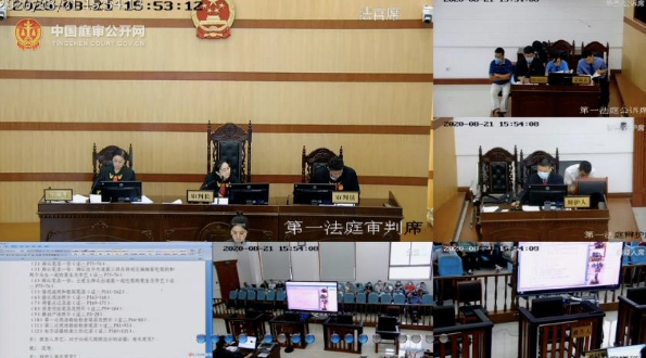 ▲该案庭审现场。图据中国庭审公开网