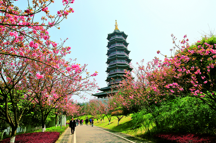 重庆市园博园春日美景 重庆市园博园管理处供图