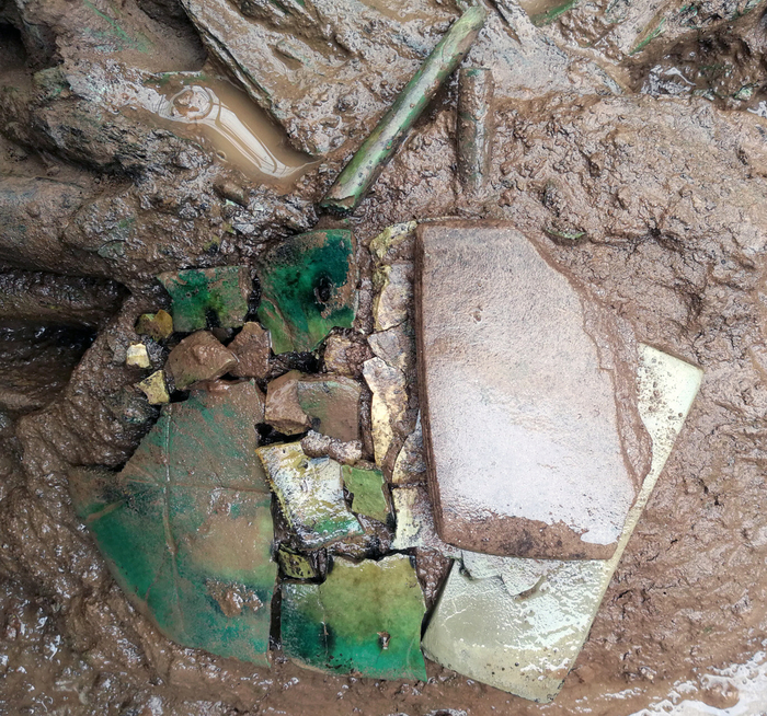 M99号墓出土的龟甲