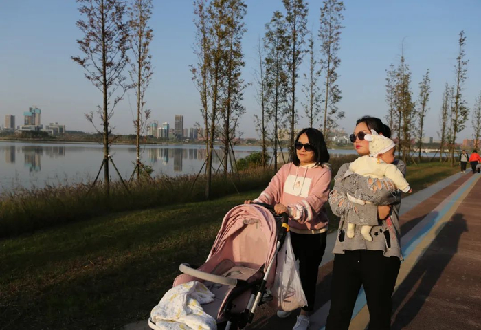 成都市民在位于天府新区的兴隆湖畔漫步 谢秀栋 摄