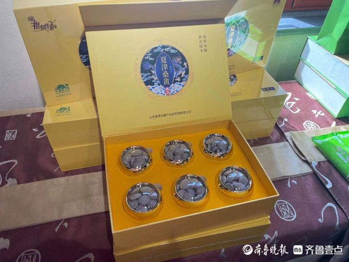 德百古桑产业研究院揭牌亮相:挖掘古桑健康价值,宣传古桑文化|夏津|古桑|博物馆