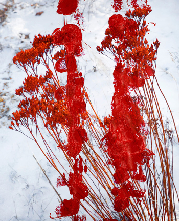 Equivalences系列©Douglas Mandry