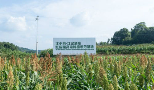 图片来源：受访者供图