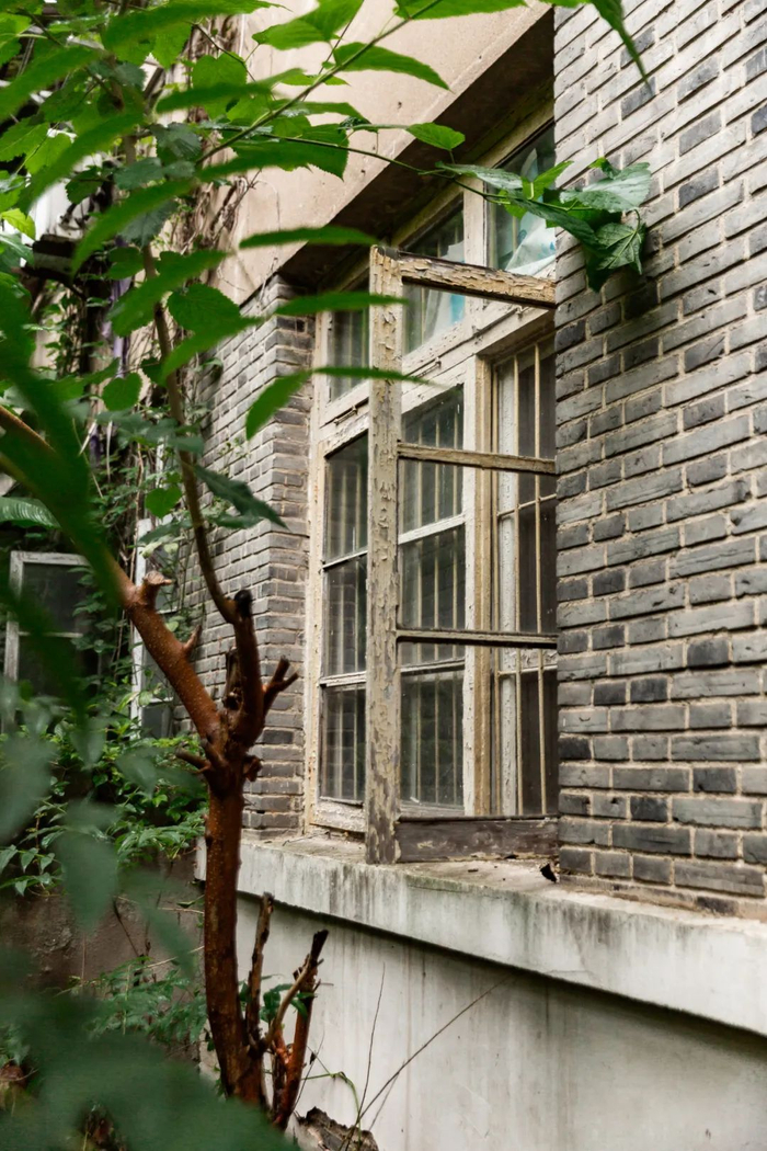 图为杭大新村一角。新华社发（毛静雯摄） 