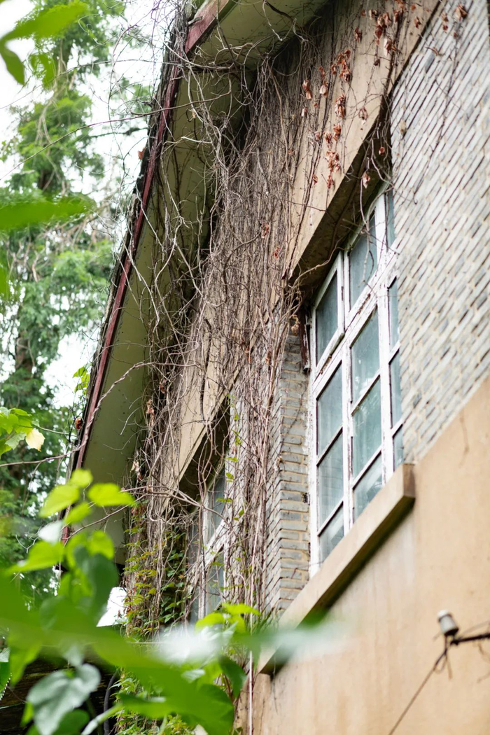 图为杭大新村一角。新华社发（毛静雯摄）