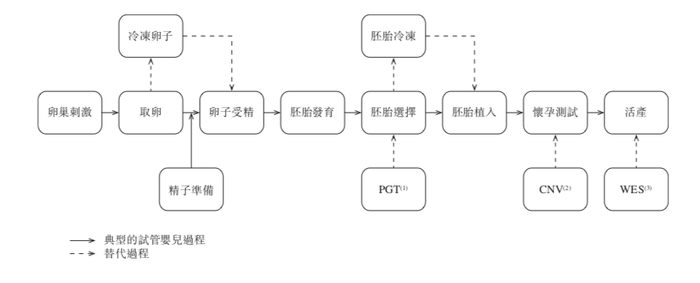 （试管婴儿过程的主要步骤，来源于招股书）