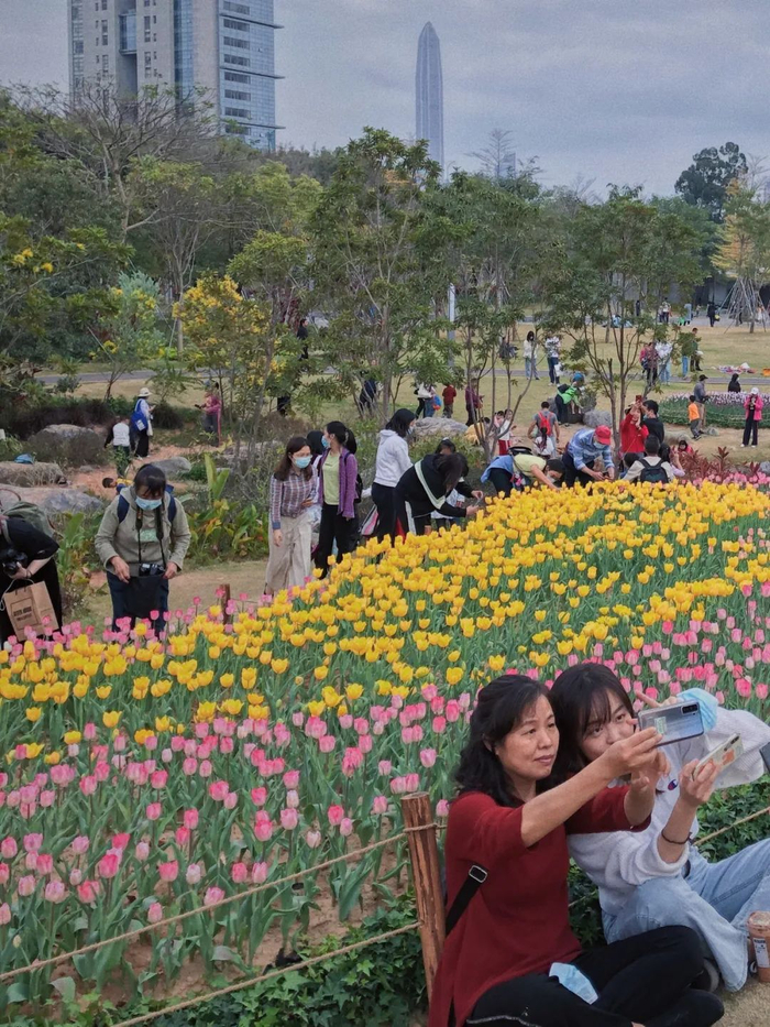 相信看到了这么多漂亮的图片