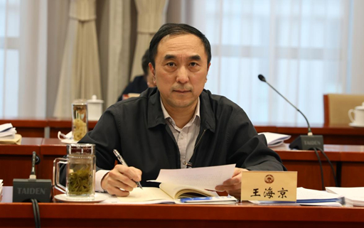 全国政协委员、中国红十字会副会长王海京