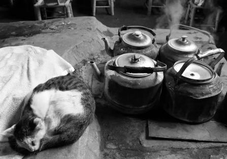 ▲资料图/新京报记者 摄