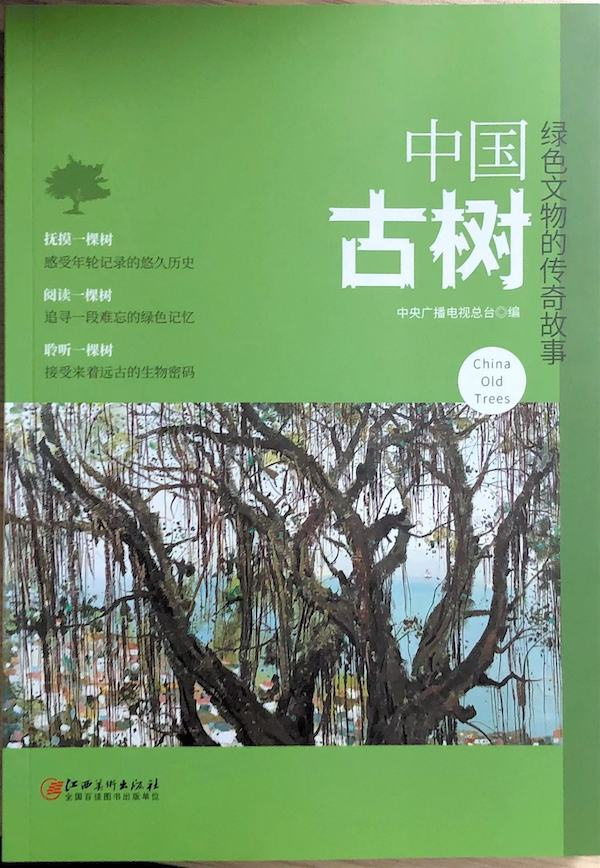 《中国古树》，中央广播电视总台/编，江西美术出版社，2020年8月版