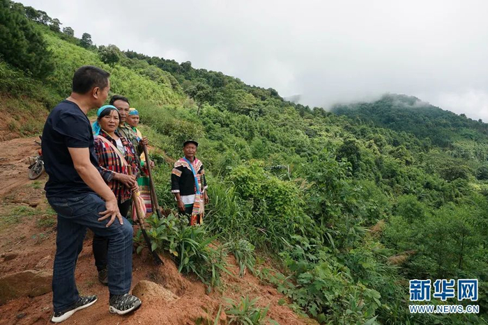 张林波（左一）和当地群众探讨下一步景洪市嘎洒镇的大黑山林场发展计划（2019年7月31日摄）。新华社记者 秦晴 摄