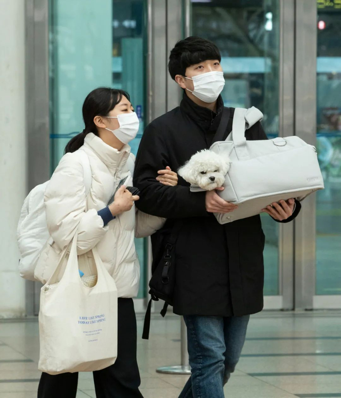 疫情下韩国迎春节出行高峰。新华社发（李相浩摄）