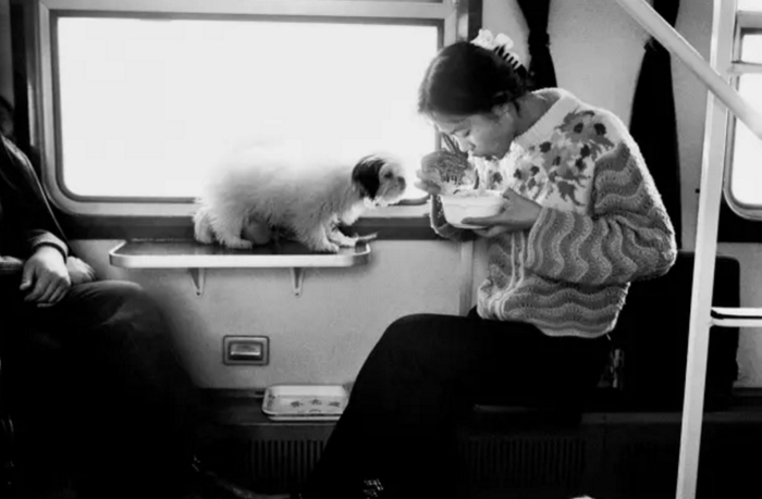 ▲分享。1995，齐齐哈尔—北京。