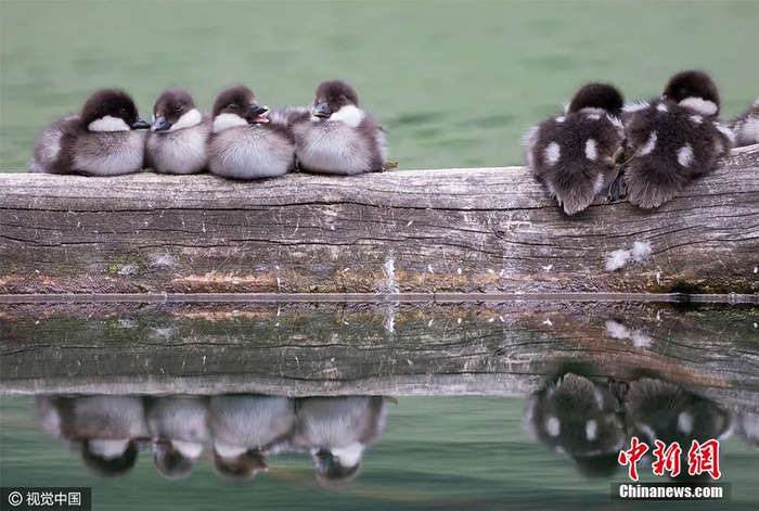 资料图 图片来源：视觉中国